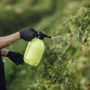 farmer-spraying-vegetables-garden-with-herbicides-man-black-apron-min